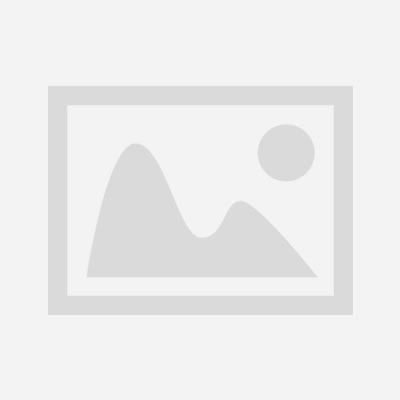 Harmonic Reducers: Powering the Future of Humanoid Robots